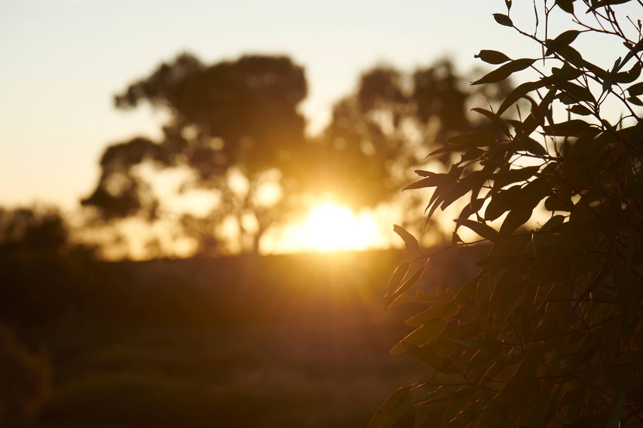 Hero CTA acknowledgement country